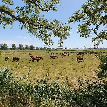 Apartements Im Seepark * Sellin (Rugen)