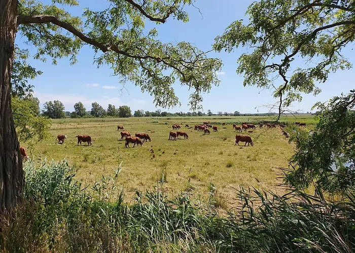 Apartements Im Seepark * Sellin (Rugen)